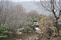 Натиснете снимката за да я уголемите

Име:Picture 024.jpg
Прегледи:191
Размер:225.5 КБ
ID:5145414