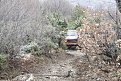 Натиснете снимката за да я уголемите

Име:Picture 025.jpg
Прегледи:196
Размер:249.7 КБ
ID:5145415