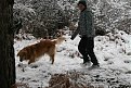 Натиснете снимката за да я уголемите

Име:Picture 040.jpg
Прегледи:188
Размер:192.1 КБ
ID:5145431