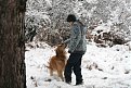 Натиснете снимката за да я уголемите

Име:Picture 041.jpg
Прегледи:179
Размер:150.3 КБ
ID:5145432