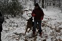 Натиснете снимката за да я уголемите

Име:Picture 046.jpg
Прегледи:181
Размер:198.0 КБ
ID:5145437
