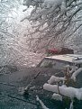 Натиснете снимката за да я уголемите

Име:Image148.jpg
Прегледи:357
Размер:116.0 КБ
ID:5145626