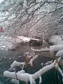 Натиснете снимката за да я уголемите

Име:Image150.jpg
Прегледи:347
Размер:115.6 КБ
ID:5145627
