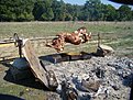 Натиснете снимката за да я уголемите

Име:DSC01057.jpg
Прегледи:571
Размер:268.7 КБ
ID:5146011