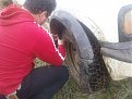 Натиснете снимката за да я уголемите

Име:Излишните неща сами падат.jpg
Прегледи:130
Размер:140.6 КБ
ID:5146501