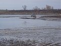 Натиснете снимката за да я уголемите

Име:DSC00176.jpg
Прегледи:227
Размер:123.7 КБ
ID:5146609