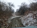Натиснете снимката за да я уголемите

Име:SDC11341.jpg
Прегледи:189
Размер:222.7 КБ
ID:5147589