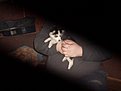 Натиснете снимката за да я уголемите

Име:SDC11393.jpg
Прегледи:185
Размер:69.4 КБ
ID:5147598