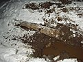 Натиснете снимката за да я уголемите

Име:DARVO 1.JPG
Прегледи:240
Размер:109.3 КБ
ID:5148396