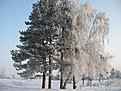 Натиснете снимката за да я уголемите

Име:Picture 373.jpg
Прегледи:249
Размер:199.4 КБ
ID:5149521