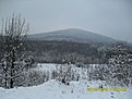 Натиснете снимката за да я уголемите

Име:SDC101066.JPG
Прегледи:228
Размер:367.5 КБ
ID:5149530