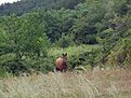 Натиснете снимката за да я уголемите

Име:6009_1043920557257_1802930627_95229_6394318_n.jpg
Прегледи:301
Размер:76.4 КБ
ID:5149775