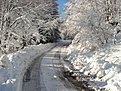 Натиснете снимката за да я уголемите

Име:5853_112689821867_531331867_2377540_2517665_n.jpg
Прегледи:303
Размер:97.8 КБ
ID:5149788