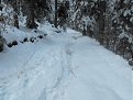Натиснете снимката за да я уголемите

Име:Picture 005.jpg
Прегледи:382
Размер:206.7 КБ
ID:5150181