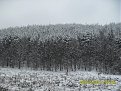 Натиснете снимката за да я уголемите

Име:SDC101088.JPG
Прегледи:138
Размер:353.0 КБ
ID:5150367