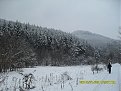 Натиснете снимката за да я уголемите

Име:SDC101100.JPG
Прегледи:143
Размер:350.2 КБ
ID:5150368