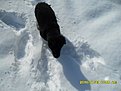 Натиснете снимката за да я уголемите

Име:SDC101422.jpg
Прегледи:292
Размер:83.5 КБ
ID:5150790