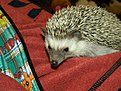 Натиснете снимката за да я уголемите

Име:DSCN0694.jpg
Прегледи:435
Размер:176.6 КБ
ID:5151182