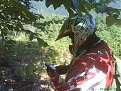 Натиснете снимката за да я уголемите

Име:DSC03999.jpg
Прегледи:95
Размер:192.3 КБ
ID:5152234