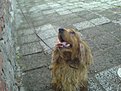 Натиснете снимката за да я уголемите

Име:5.jpg
Прегледи:362
Размер:125.7 КБ
ID:5152339