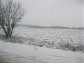 Натиснете снимката за да я уголемите

Име:Picture 002.jpg
Прегледи:112
Размер:100.7 КБ
ID:5153615