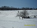 Натиснете снимката за да я уголемите

Име:SDC101833.JPG
Прегледи:183
Размер:328.0 КБ
ID:5154428