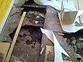 Натиснете снимката за да я уголемите

Име:049.jpg
Прегледи:191
Размер:78.0 КБ
ID:5154568