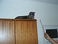 Натиснете снимката за да я уголемите

Име:S2010011.jpg
Прегледи:379
Размер:84.6 КБ
ID:5154667