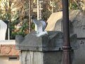Натиснете снимката за да я уголемите

Име:IMG_4722.JPG
Прегледи:104
Размер:175.4 КБ
ID:5155726