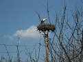 Натиснете снимката за да я уголемите

Име:Picture 05111.jpg
Прегледи:153
Размер:148.7 КБ
ID:5155992
