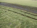 Натиснете снимката за да я уголемите

Име:IMG_0023.jpg
Прегледи:219
Размер:277.3 КБ
ID:5156063