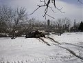Натиснете снимката за да я уголемите

Име:P2190110.jpg
Прегледи:222
Размер:139.0 КБ
ID:5156881