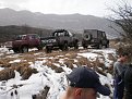 Натиснете снимката за да я уголемите

Име:P2190134.jpg
Прегледи:197
Размер:166.0 КБ
ID:5156935