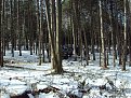 Натиснете снимката за да я уголемите

Име:Offroad.jpg
Прегледи:175
Размер:278.5 КБ
ID:5156981