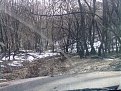 Натиснете снимката за да я уголемите

Име:20022010121.jpg
Прегледи:162
Размер:245.9 КБ
ID:5157094