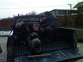 Натиснете снимката за да я уголемите

Име:DSC00162.jpg
Прегледи:147
Размер:117.6 КБ
ID:5157163