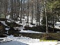 Натиснете снимката за да я уголемите

Име:SDC102844.JPG
Прегледи:290
Размер:383.9 КБ
ID:5159051