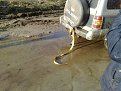 Натиснете снимката за да я уголемите

Име:07032010323.jpg
Прегледи:221
Размер:134.0 КБ
ID:5161007