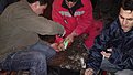 Натиснете снимката за да я уголемите

Име:12032010112.jpg
Прегледи:270
Размер:112.4 КБ
ID:5162903