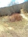Натиснете снимката за да я уголемите

Име:Изображение1375.jpg
Прегледи:1052
Размер:154.2 КБ
ID:5163181