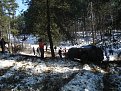 Натиснете снимката за да я уголемите

Име:Picture 107.jpg
Прегледи:286
Размер:246.1 КБ
ID:5163524