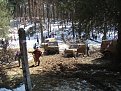 Натиснете снимката за да я уголемите

Име:Picture 113.jpg
Прегледи:274
Размер:261.6 КБ
ID:5163530