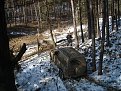 Натиснете снимката за да я уголемите

Име:Picture 121.jpg
Прегледи:257
Размер:236.6 КБ
ID:5163540