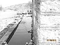 Натиснете снимката за да я уголемите

Име:Picture 149.jpg
Прегледи:159
Размер:165.3 КБ
ID:5164753