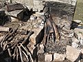 Натиснете снимката за да я уголемите

Име:Picture 150.jpg
Прегледи:154
Размер:264.9 КБ
ID:5164754