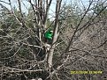 Натиснете снимката за да я уголемите

Име:SDC10466-K.jpg
Прегледи:192
Размер:322.4 КБ
ID:5166041