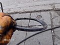 Натиснете снимката за да я уголемите

Име:HPIM2650.jpg
Прегледи:774
Размер:151.6 КБ
ID:5167129