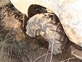 Натиснете снимката за да я уголемите

Име:DSC07149.jpg
Прегледи:778
Размер:223.4 КБ
ID:5167376