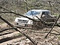 Натиснете снимката за да я уголемите

Име:Picture 213.jpg
Прегледи:112
Размер:295.6 КБ
ID:5167696