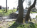 Натиснете снимката за да я уголемите

Име:Picture 319.jpg
Прегледи:129
Размер:231.8 КБ
ID:5167781